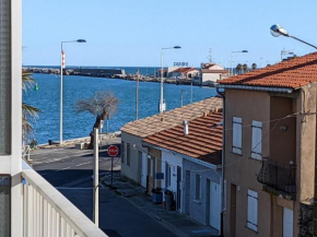 T2 Rénové Climatisé, Proche Plage, 4 Pers, Animaux Admis - FR-1-797-5